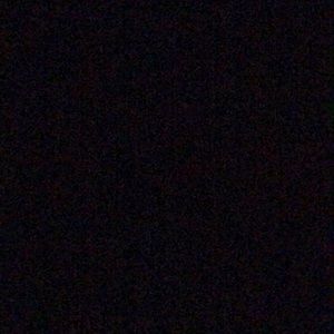 Meet your Posher, Lily